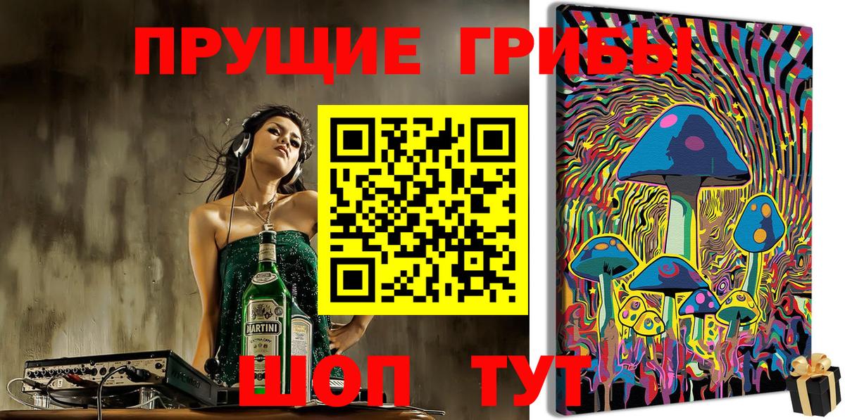 Галлюциногенные грибы Psilocybe  Вход с VPN  Моздок 