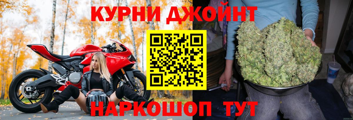 Каннабис планчик Моздок